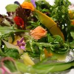 レフェルヴェソンス - 51種類の野菜