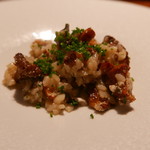 TACUBO - ジロール茸と鱧の卵のリゾット（北海道のお米使用）