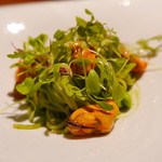 TACUBO - 活ムール貝の冷製ジェノベーゼに秋田の枝豆（湯上がり娘）