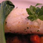 グリーン・グローヴ - メイン魚