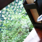 イセザキ南蛮茶館 - 店奥には小さな庭が。細長いのでスペースも小さいですね。