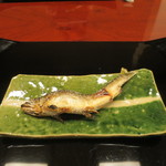 懐石 辻留 - 桂川の鮎の塩焼き