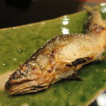 懐石 辻留 - 桂川の鮎の塩焼きアップ