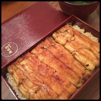 五代目 野田岩 麻布飯倉本店 - 鰻重 折箱。