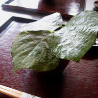 行楽庵 - 【先付け】無花果の葉が蓋代わり