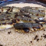 宇豆基野 - (8/20)鮎御飯