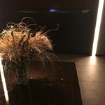 カンテサンス - 