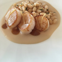 Benoit Alain Ducasse - 