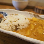 藍布 - マレーシア風カレー、緑豆とアワのご飯　2016.8.