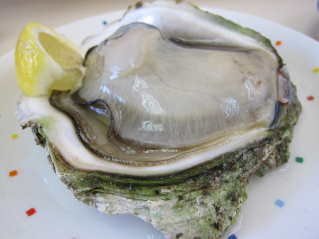 水沼さざえ店 - 岩牡蛎(大):800円,ほとんど生