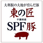 千葉・ＳＰF林豚 肩ロース 