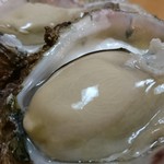 Kyuuji - 牡蠣