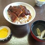 Kawashin Unagi Senta - 鰻丼(並)