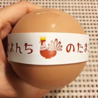 Toyonchi No Tamago Toritsudai Gakueki Maeten - 