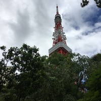 東京 芝 とうふ屋うかい - 