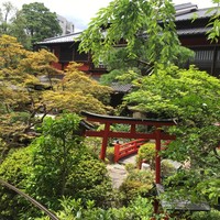 東京 芝 とうふ屋うかい - 