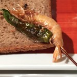 六覺燈 - トビアラエビ