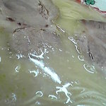 ラーメン・餃子 大勝 - 細やかな脂の浮き方がたまらない極上のスープ！(*ﾟ∀ﾟ)