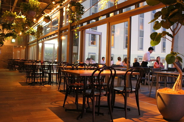 ぷてらす Amazon | 182L 爬虫類 飼育ケージ 折りたたみ式 グラス