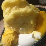 ICE MONSTER Zhongxiao - 