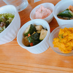 欧風カレー工房チロル - 前菜〜