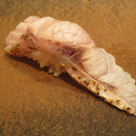 寿司 向月 - のどぐろ 対馬