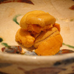 寿司 向月 - 馬糞雲丹 利尻