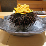 寿司 向月 - 紫雲丹 知多豊浜 