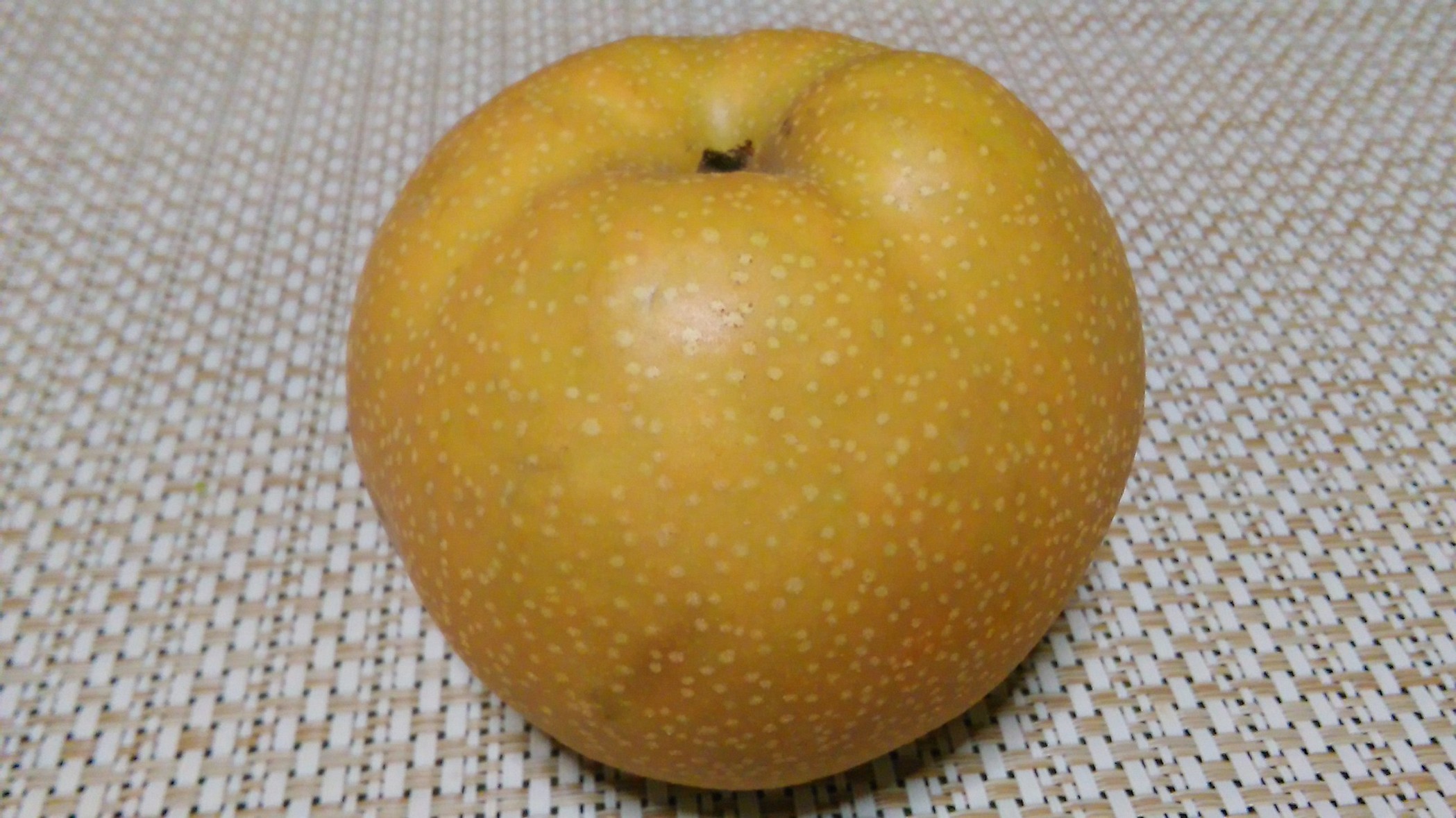 やまびこ name=