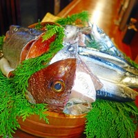 魚めし 竹亭 - 本日のお魚の説明をしてくれます