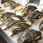 MICHI FISH&OYSTER - 