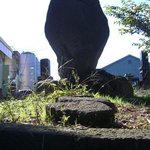 こそば亭 - ばせを。