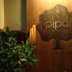 Pipal - 