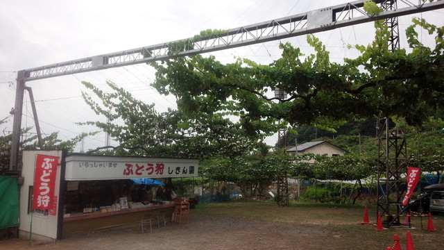 須藤ぶどう酒（スドウブドウシュ） - 南陽市役所（その他）の写真