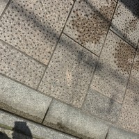 山地陽介 - 