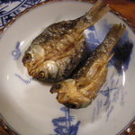 みなとや旅館 - 鮒がうまいのです