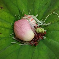 京料理 たか木 - お造り：蓮華の花びらのせ