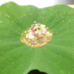 天神橋 青木 - 先付