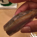 三谷 - 鰯（2016／08）