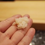 初音鮨 - 3回目8月中旬