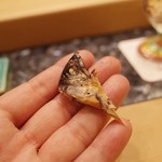 初音鮨 - 3回目8月中旬