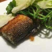 TACUBO - 