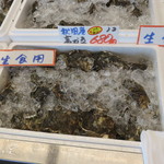 万代島鮮魚センター - 今回買った秋田産の生牡蠣
