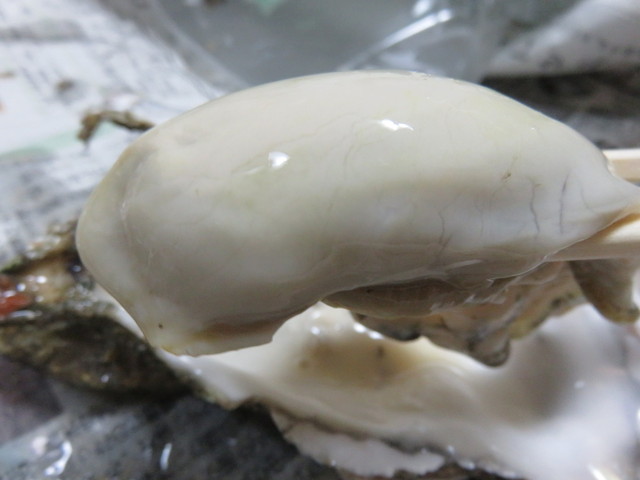 夏場の牡蠣はやっぱり最高ですね By よっしー 田中商店 青森 その他 食べログ