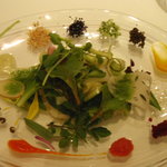 ハジメ - サラダ