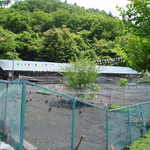 浅間とり牧場 - 外側からみた養鶏場。通常は左下のバケツの所に餌が置いている。