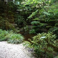 日光金谷ホテル - お店の窓からお庭を望む