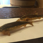 Kyouto Tempura Endou - 