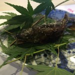 旬菜 おぐら家 - おぐら家・天然鮎の炭火焼き