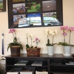 そば処 さいとう - 